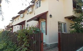 Casa David